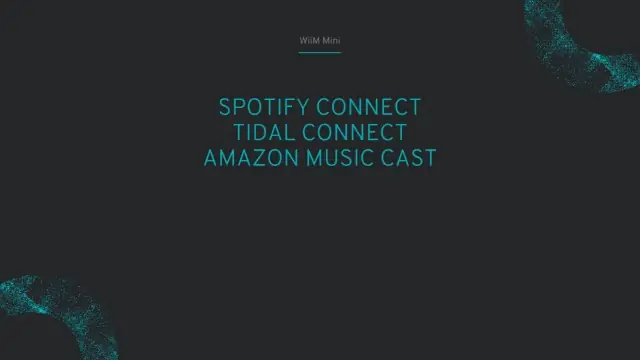 WiiM Mini streaming service support — Spotify Connect, Tidal Connect, Amazon Music Cast