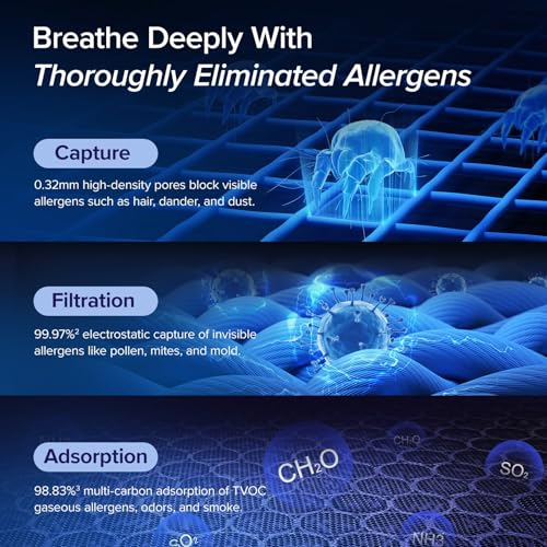 Levoit Vital 200S-P air quality monitor feature image