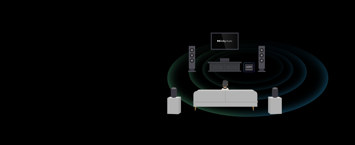 WiiM Sub Pro brand feature image